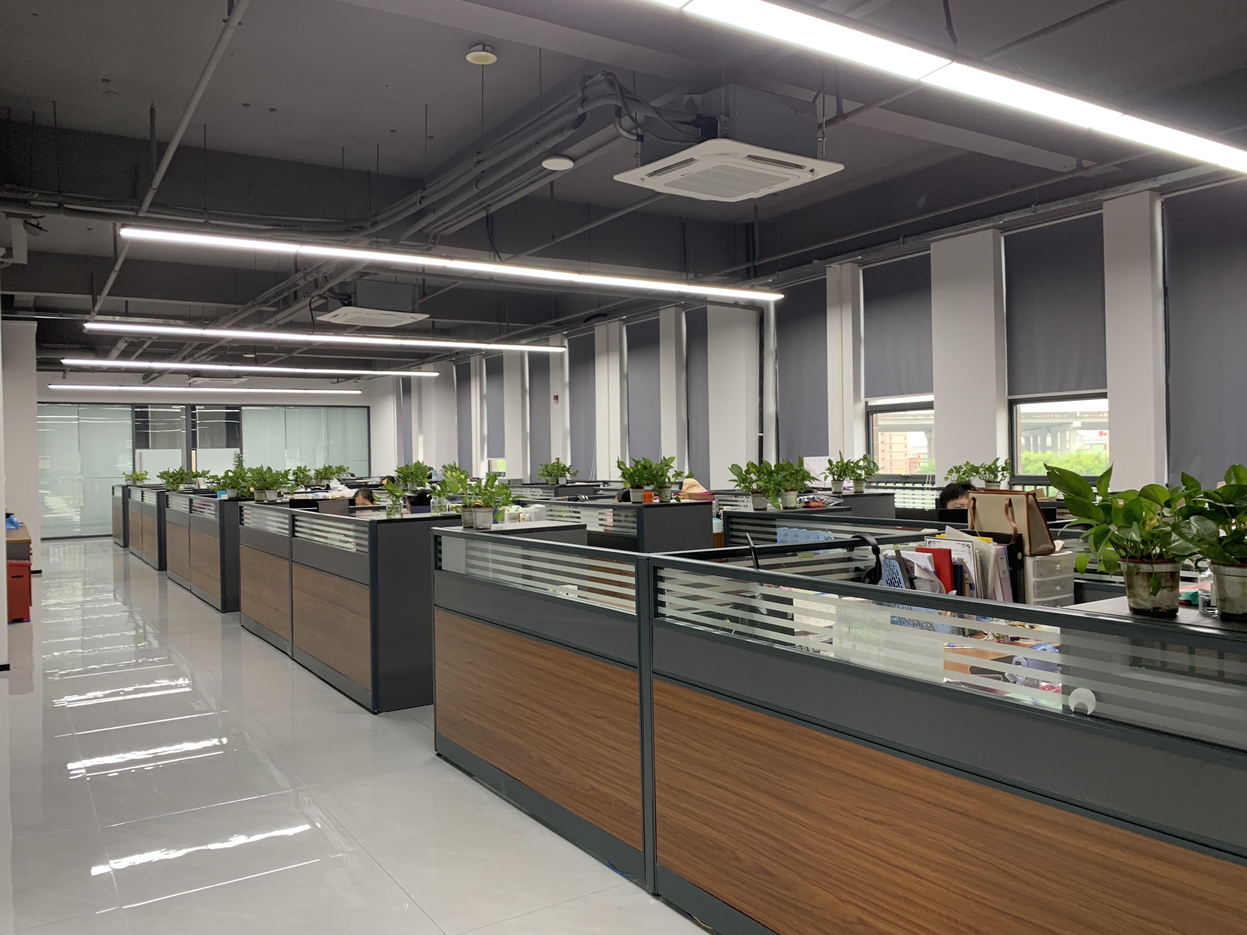 চীন RICHSTAR (SHENZHEN) LIMITED সংস্থা প্রোফাইল